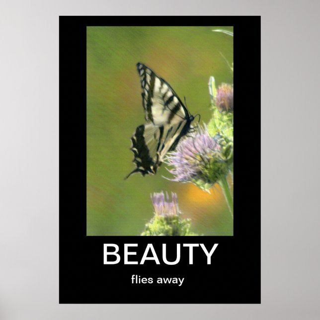 Poster Demotivational Beauty (Devant)