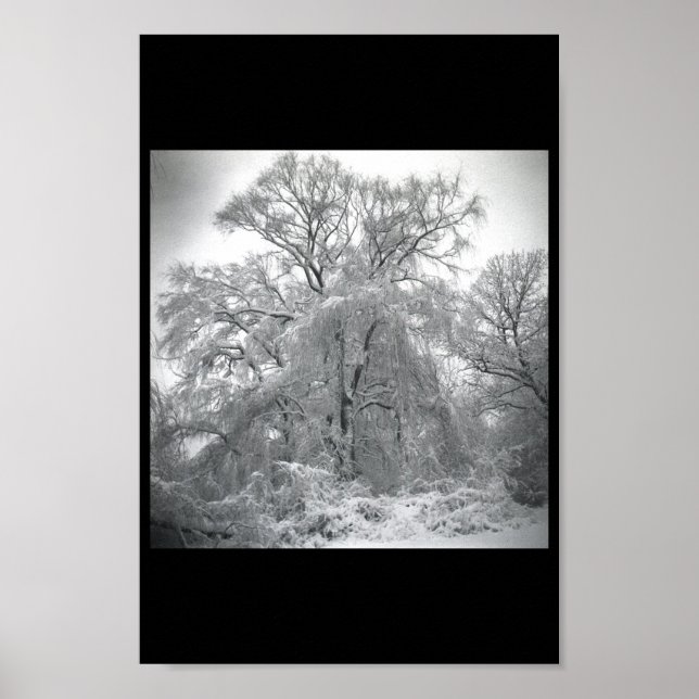 Poster dentelles (Devant)