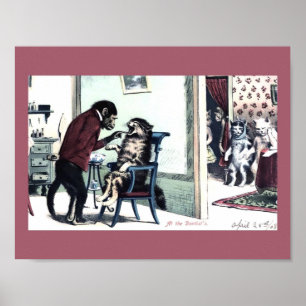Poster Dentiste vintage drôle de singe d'impression avec