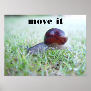 Poster déplacer