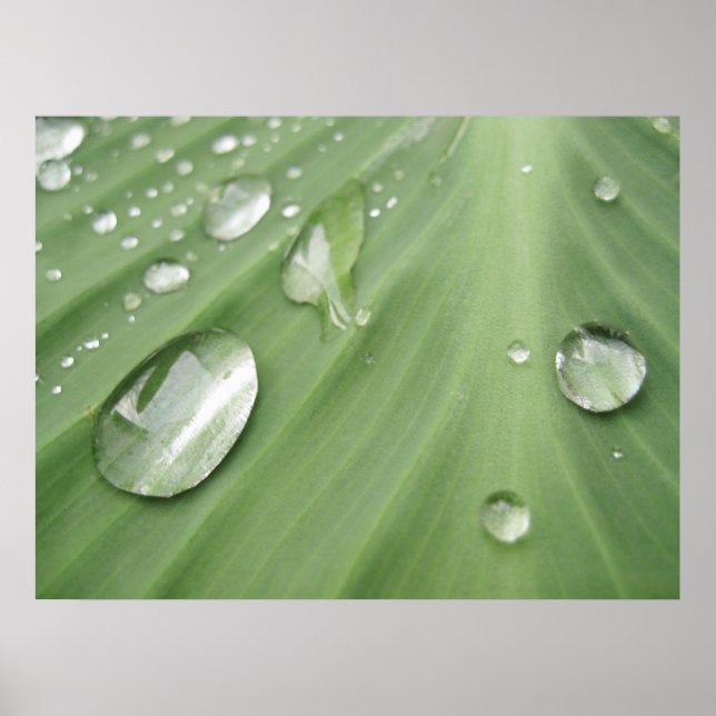 Poster Déposer par glisser (Devant)