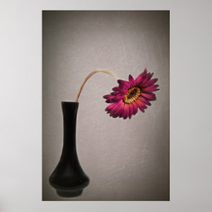 Poster Déposez Gerbera Daisy Dans Vase