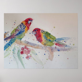 Poster der australischen Rosella Parrot Watercolor