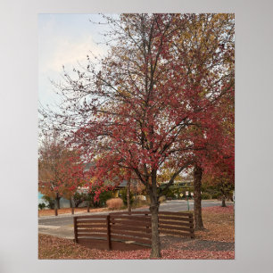Poster der Herbstwanderbrücke