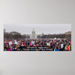 Poster der Washington DC Women's März 2017