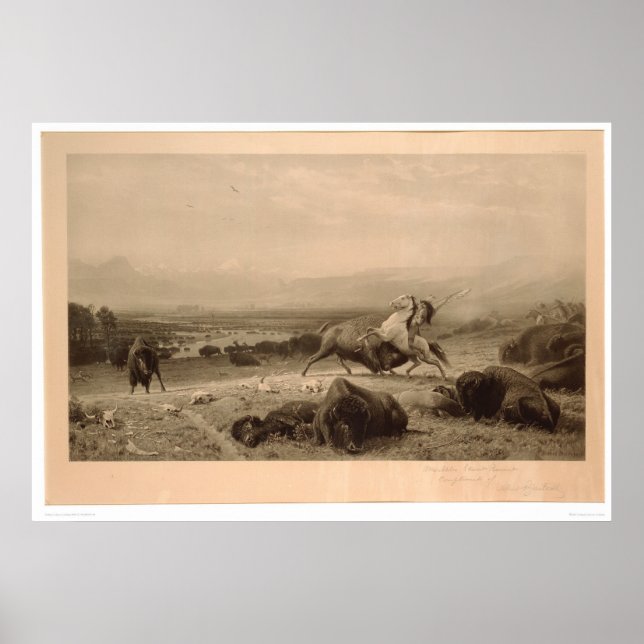 Poster Dernier du Buffalo Bierstadt (0137A) - Non restaur (Devant)