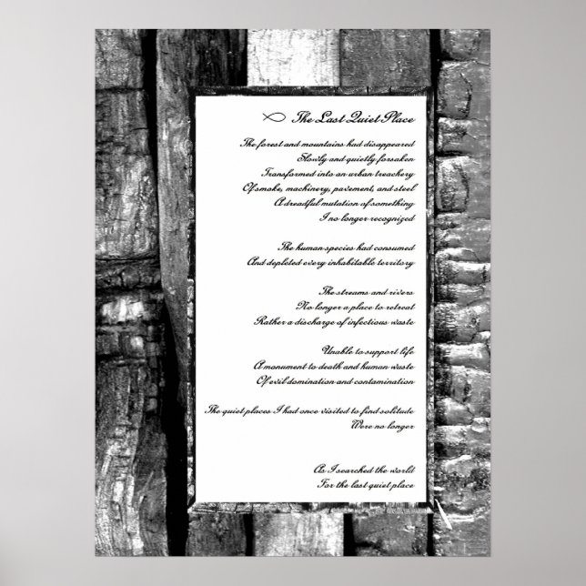 Poster Dernier endroit calme (Devant)