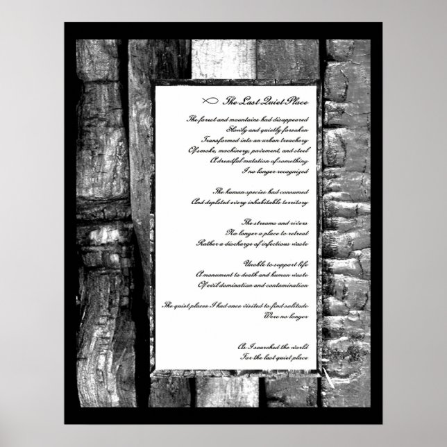 Poster Dernier endroit calme (Devant)