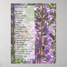 derrière les yeux lupins
