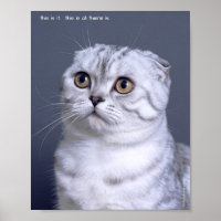 Poster des animaux de compagnie solitaires et tris