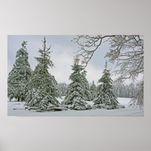 Poster des arbres couverts de neige