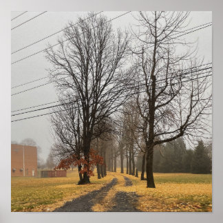 Poster des arbres d'automne