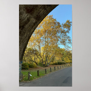 Poster des arbres d'automne jaunes