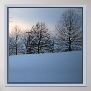 Poster des arbres d'hiver pittoresques