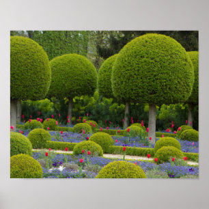 Poster des arbres sculptés