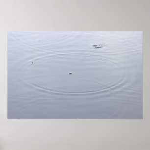 Poster des cercles de soleil dans l'étang