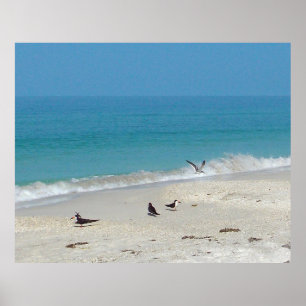 Poster des chasseurs de surf