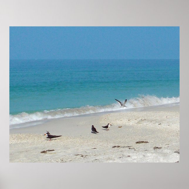 Poster des chasseurs de surf (Devant)