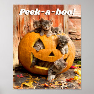 Poster Des chatons à Jack-o-Lantern