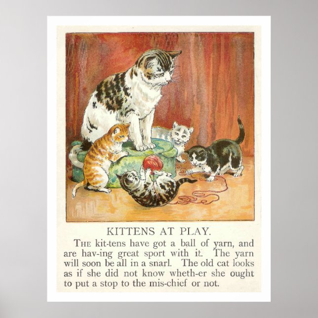 Poster Des chatons en jeu (Devant)
