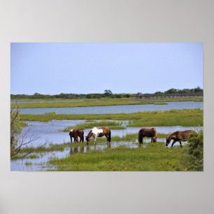 Poster des Chevaux Sauvages d'Assateague