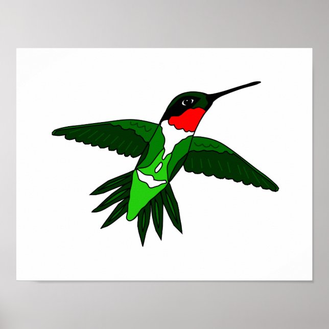 Poster des colibris (Devant)