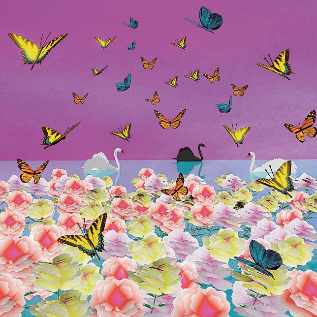 Poster des cygnes au coucher du soleil (Créateur téléchargé)