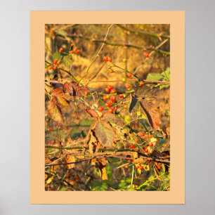 Poster des feuilles et des baies d'automne