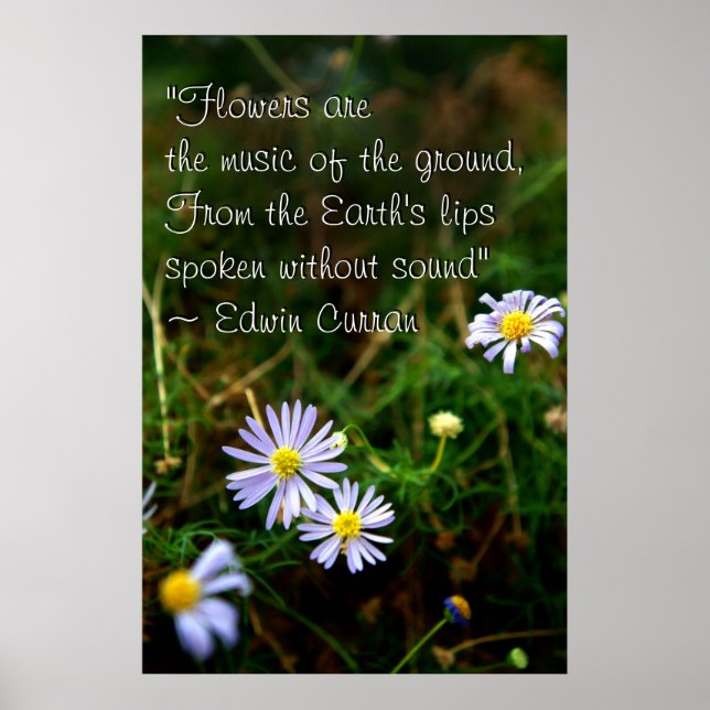 Poster des fleurs (Devant)