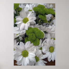 Poster des fleurs de chrysanthème
