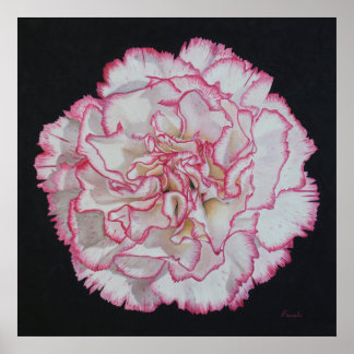 Poster des fleurs de conation