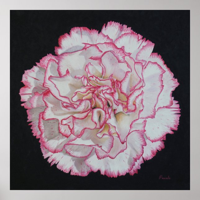 Poster des fleurs de conation (Devant)