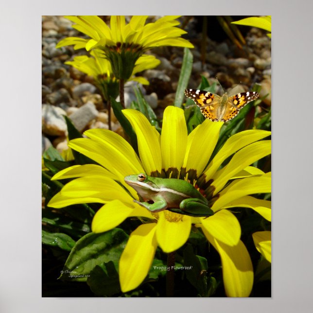 Poster des fleurs de papillon de grenouille (Devant)