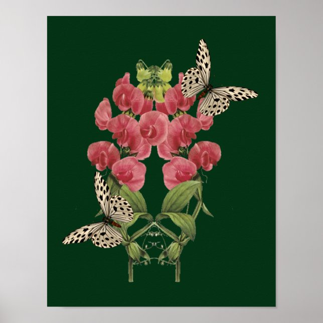 Poster Des Fleurs De Pois Sucrées Et Des Papillons (Devant)