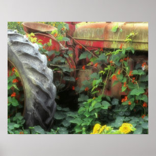 Poster Des fleurs de printemps ornent un vieux tracteur.