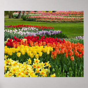 Poster des fleurs du jardin