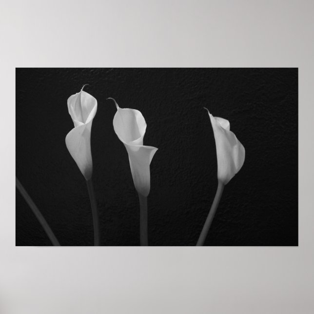 Poster des fleurs noires et blanches (Devant)