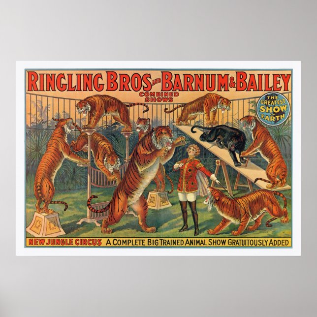 Poster des Frères Barnum et Bailey Tigers (Devant)