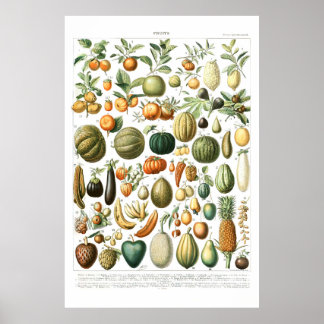 Poster des fruits de l'Adolphe Millot