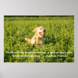 Poster des Goldenen Retriever mit Zitat
