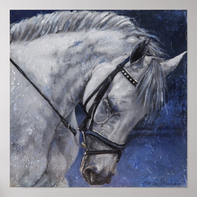 Poster des grauen Pferdes (Vorne)