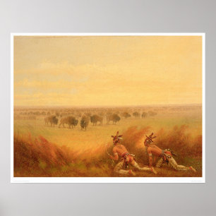 Poster Des Indiens ramassent sur un troupeau de bisons (1
