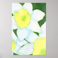 Poster des jonquilles