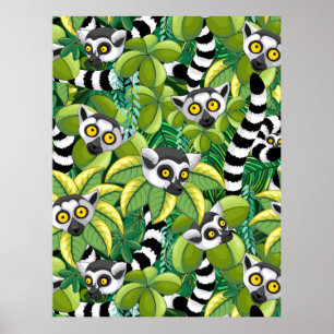 Poster Des lémuriens de Madagascar dans la jungle exotiqu