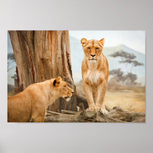 Poster des Lions Regal