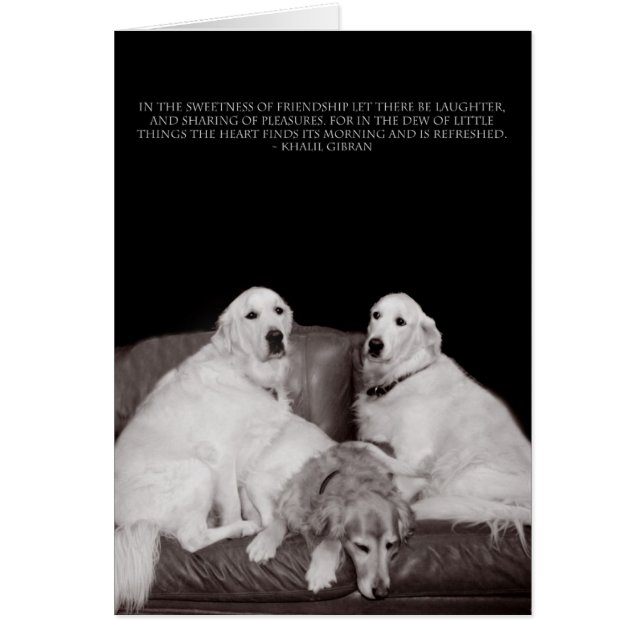 Poster des livres Gibran (Devant)