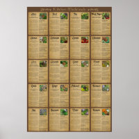 Poster des médicaments de cuisine