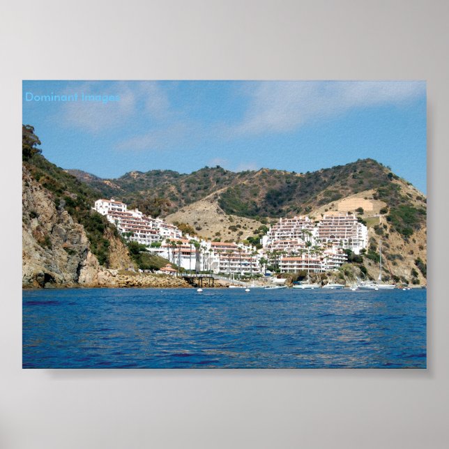 Poster des Montagnes de l'île Catalina (Devant)