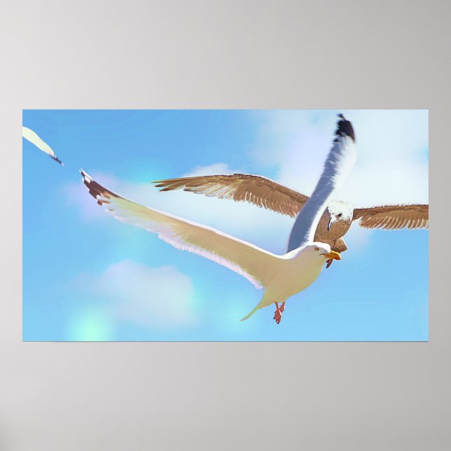 Poster des mouettes en vol (Devant)