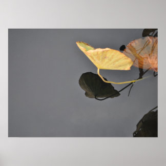 Poster des nénuphars